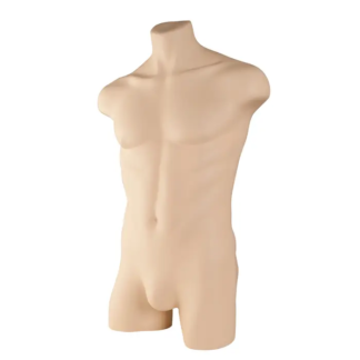 Flesh-tone male torso form
